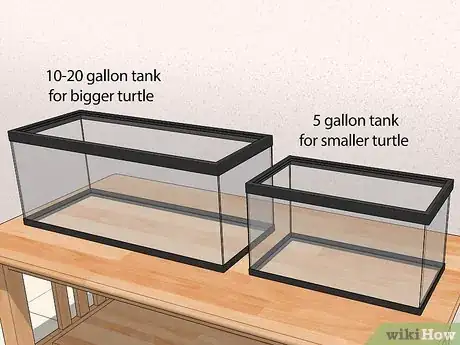 Image titled Look After a Turtle Step 2