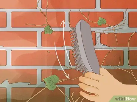 Image titled Remove an Ivy Plant Step 17