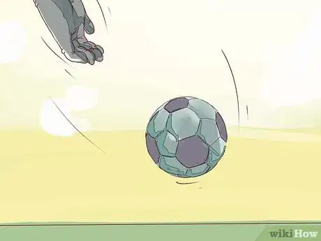 Image titled Punt a Soccer Ball Step 6