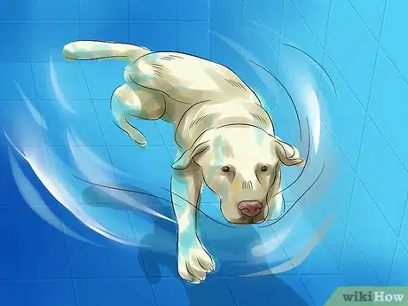 Image titled Make Your Labrador Retriever Happier Step 3