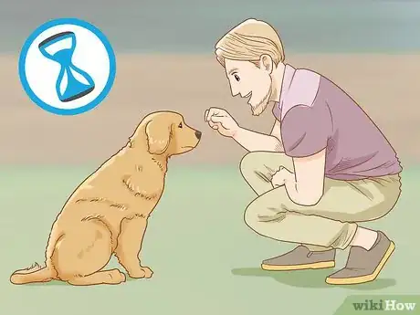 Image titled Train a Golden Retriever Step 10