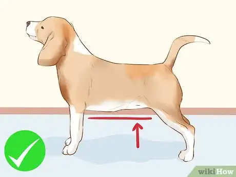 Image titled Determine if Your Dog Is Overweight Step 2