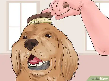 Image titled Check if Your Dog Is Healthy and Happy Step 6