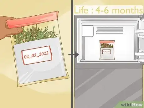 Image titled Grow Dill Indoors Step 14