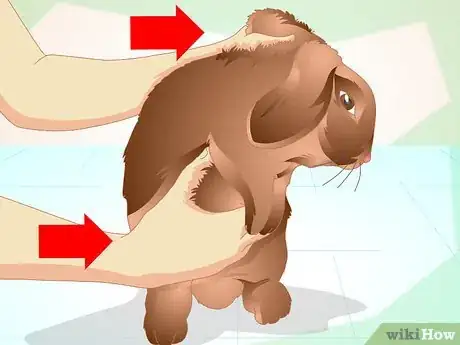 Image titled Deliver Oral Medication to Rabbits Step 14