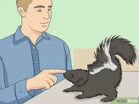 Image titled Take Care of a Pet Skunk Step 18