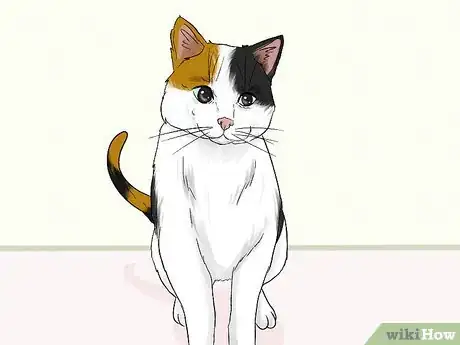 Image titled Stop an Older Cat from Attacking a Kitten Step 13