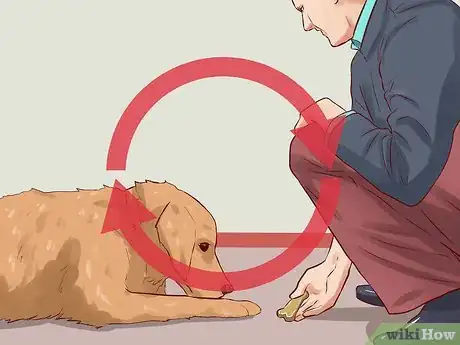 Image titled Teach Your Dog Basic Commands Step 12