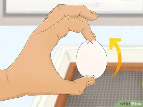 Image titled Make a Simple Homemade Incubator for Chicks Step 9