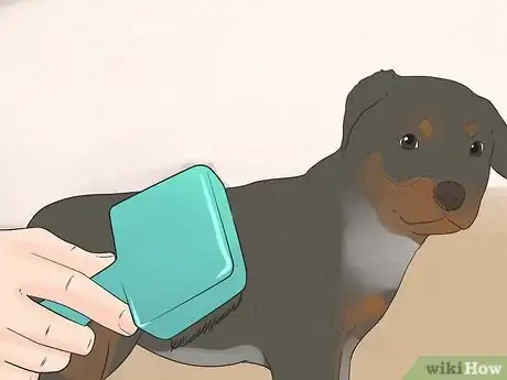 Image titled Care for a Rottweiler Puppy Step 7