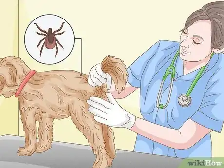 Image titled Remove a Tick from a Dog Without Tweezers Step 10