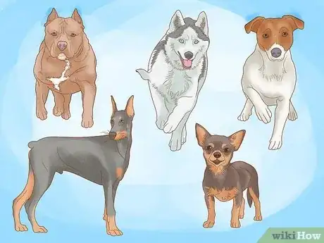 Image titled Socialize an Aggressive Dog Step 2