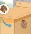 Build a Squirrel House