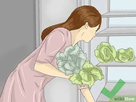 Image titled Plant Lettuce Step 8