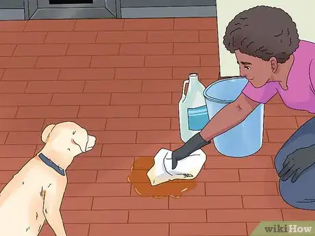 Image titled Help a Dog in Heat Step 12