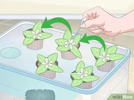 Image titled Start a Hydroponic Garden in Your Apartment Step 17