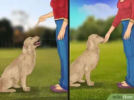 Image titled Keep a Dog from Lunging at Cars and People Step 10
