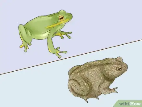 Image titled Tell the Difference Between a Frog and a Toad Step 3