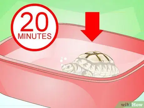 Image titled Bathe a Turtle Step 13