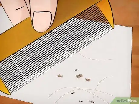 Image titled Get Rid of Super Lice Step 16