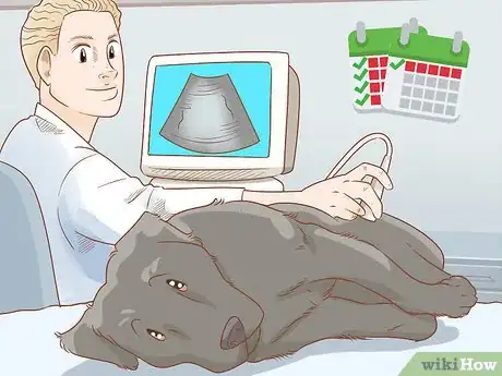 Image titled Care for a Dog Before, During, and After Pregnancy Step 9