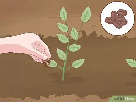 Image titled Get Rid of Snails Step 12