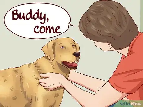 Image titled Teach Your Dog Basic Commands Step 14