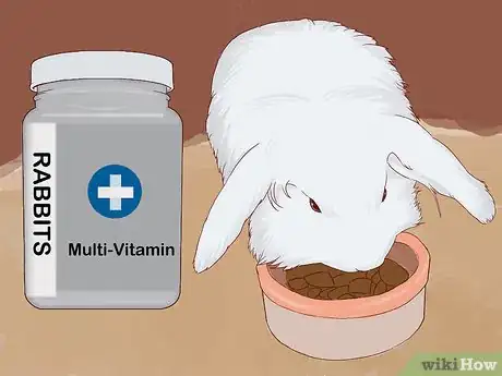 Image titled Feed Your Bunny Vitamins Step 4