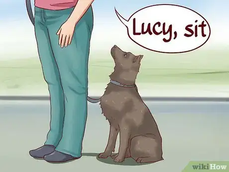 Image titled Teach Your Dog Basic Commands Step 24
