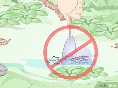 Image titled Catch Tadpoles Step 12