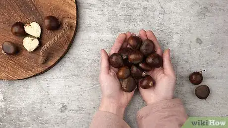 Image titled Cook Chestnuts Step 1