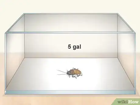 Image titled Care for a Madagascar Hissing Cockroach Step 1