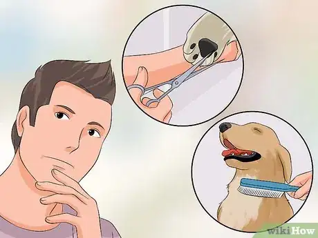 Image titled Become a Dog Groomer Step 1