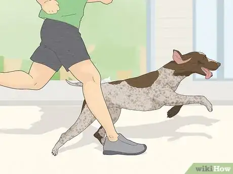 Image titled Train a Dog to Not Be Clingy Step 7