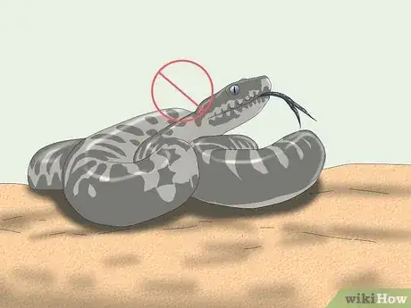 Image titled Hold a Snake Step 5