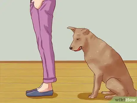 Image titled Teach Your Dog Basic Commands Step 18