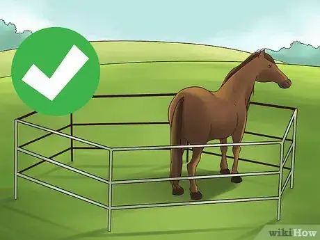 Image titled Socialize a Single Horse Step 1