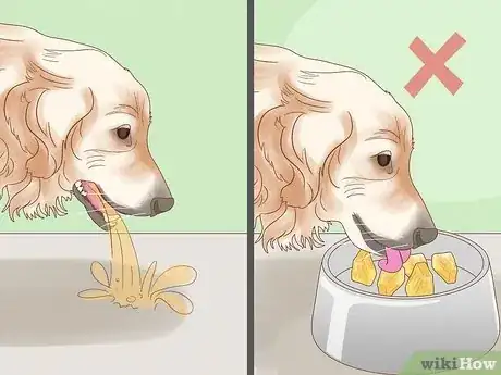 Image titled Stop a Dog from Eating Poop with Pineapple Step 6