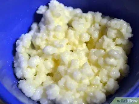 Image titled Maintain Kefir Grains Step 1