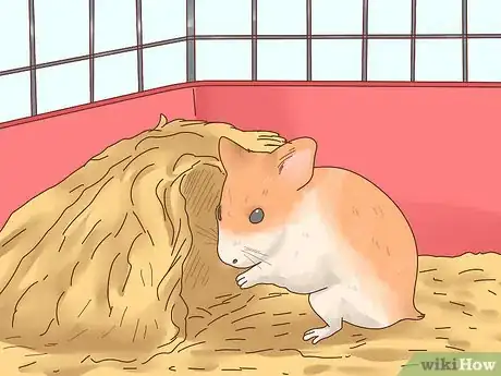 Image titled Care for Hamster Babies Step 1