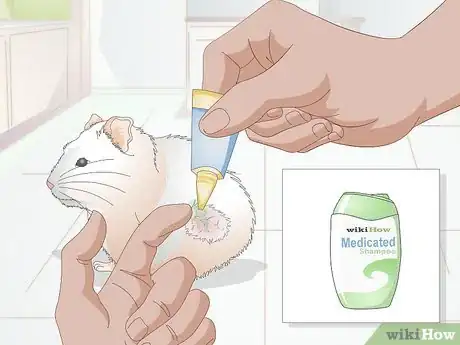 Image titled Treat Skin Disease in Hamsters Step 3