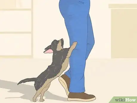 Image titled Train a Dog to Not Be Clingy Step 8