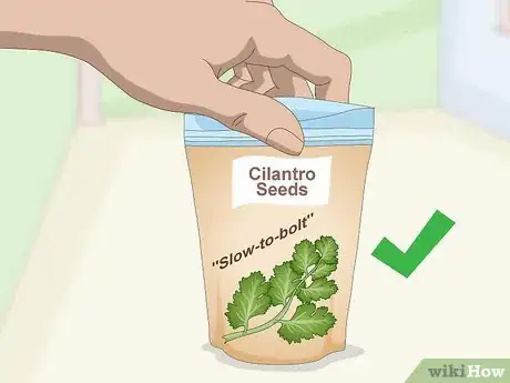 Image titled Grow Cilantro Indoors Step 1