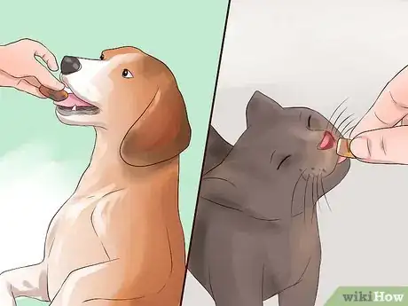 Image titled Keep Your Dog from Chasing Cats Step 5