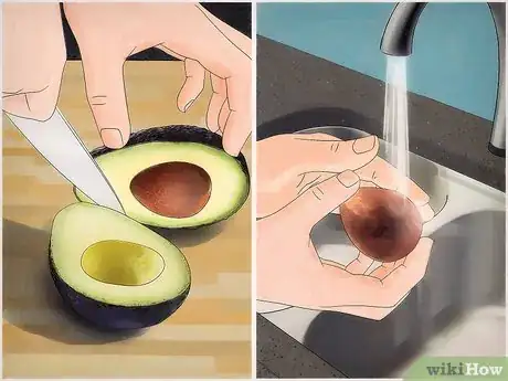 Image titled Grow an Avocado Tree Step 1