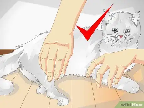 Image titled Spoil Your Cat Step 11