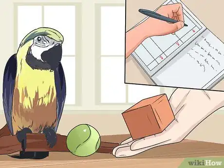 Image titled Teach Your Bird to Talk Step 3