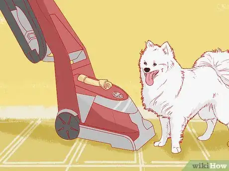 Image titled Teach Your Pet Not to be Scared of the Vacuum Cleaner Step 6