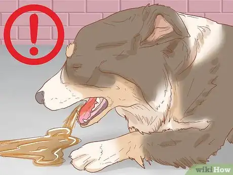 Image titled Help Your Dog Through a Stroke Step 17