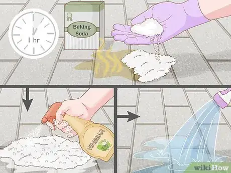 Image titled Get Rid of Urine Smell Outside Step 6